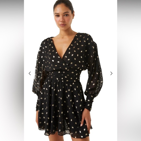 MISA Los Angeles Davie Ruched Metallic Chiffon Mini Dress (2 way wear) - Picture 3 of 16